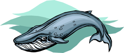 Whale